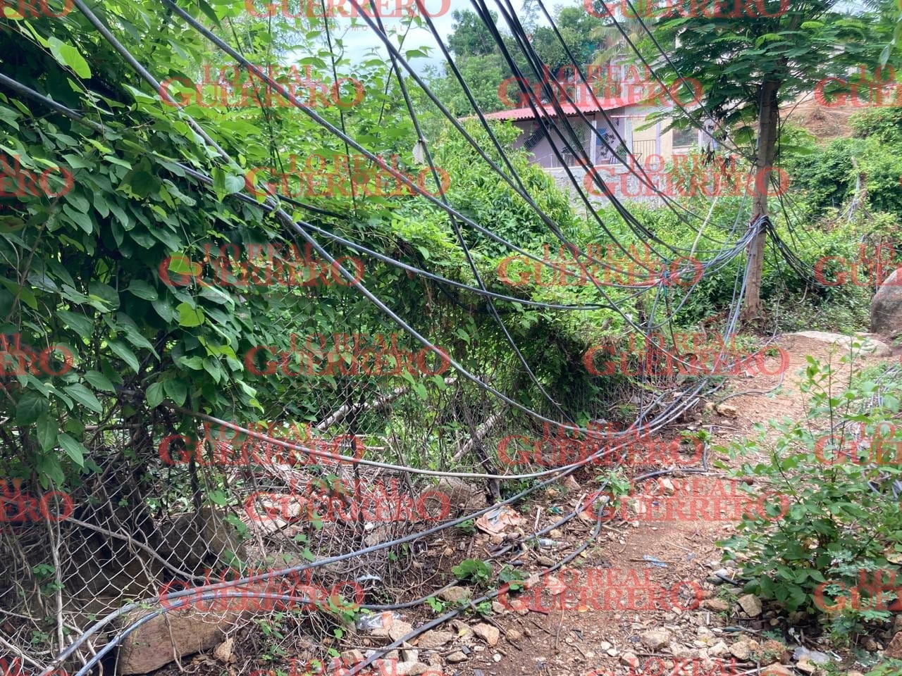 Hallan a un hombre en estado de putrefacción en la colonia Obrera, en Acapulco; trasciende que es policía estatal  *** El domingo 29 de julio, en ese mismo lugar mataron a dos hombres la noche del domingo en un mazda rojo; podría ser una tercer víctima