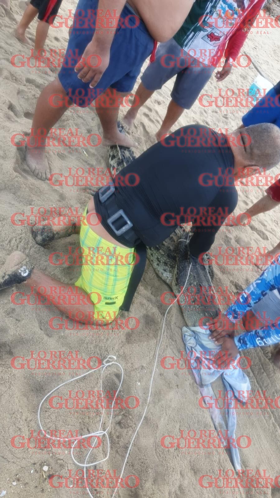 Pescadores capturan cocodrilo en Pie de la Cuesta  *El animal mordió el anzuelo de un pescador en el punto conocido como “el rincón”.
