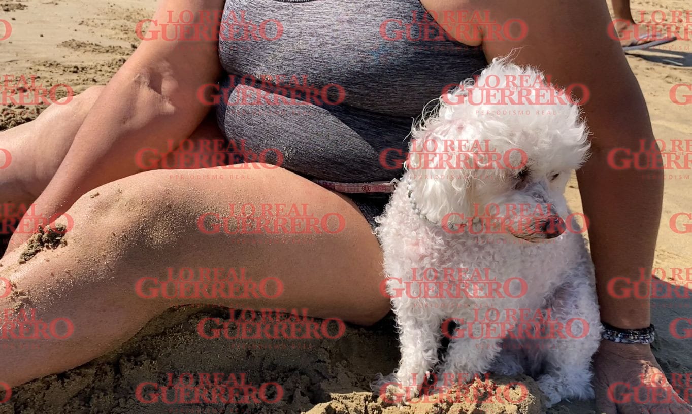 Difícil encontrar hoteles que acepten mascotas en Acapulco: turistas  *Aseguran que en las hospederías ubicadas en la costera Miguel Alemán no les permitieron acceder con un perro.