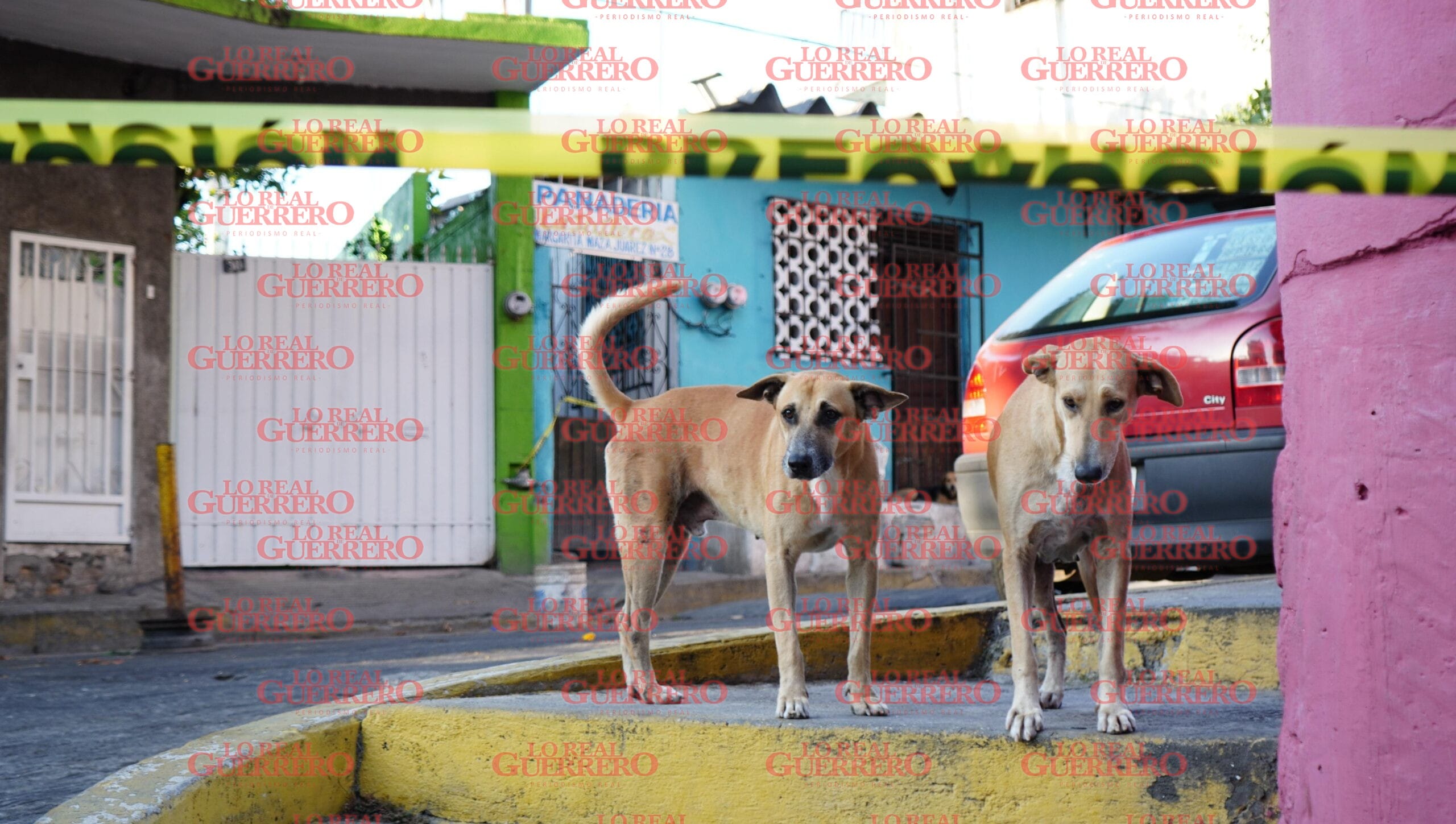 Ataque a panadería deja una persona sin vida  *El negocio se ubica en uno d esos barrios históricos del municipio de Acapulco.