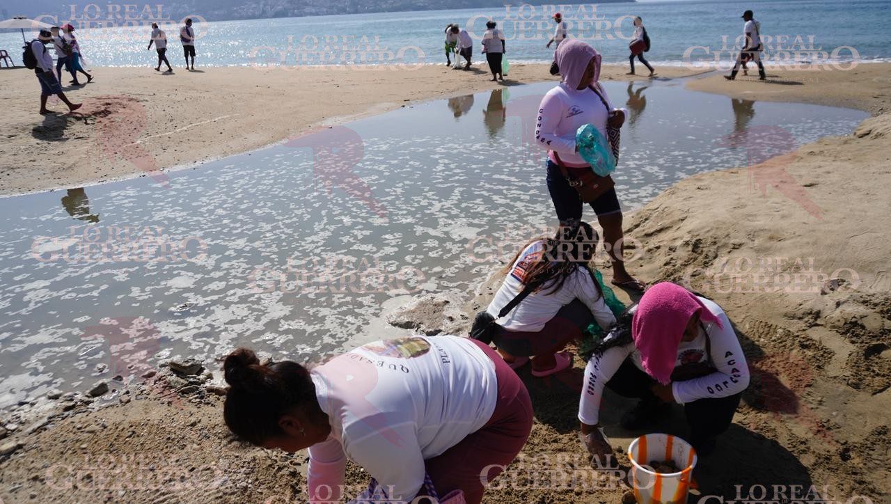 Limpian playa Tamarindos los prestadores de servicios