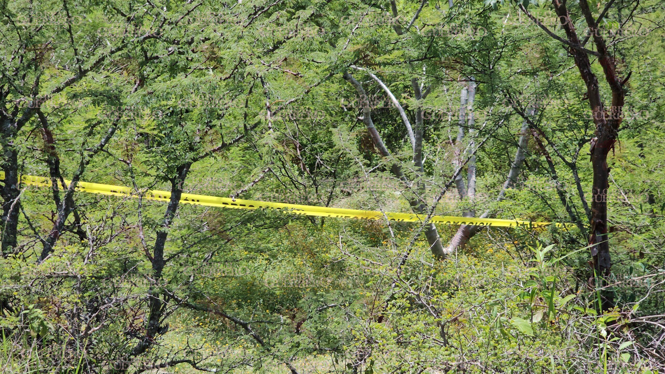 Localizan nueva fosa clandestina en Zumpango; colectivos de búsqueda acuden al sitio