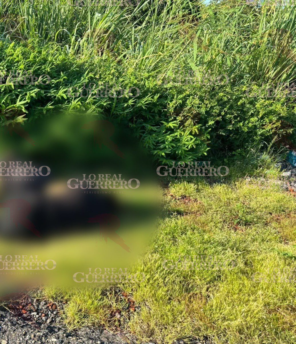 Dejan a dos hombres maniatados y ejecutados cerca de El Papayo, en Coyuca de Benítez