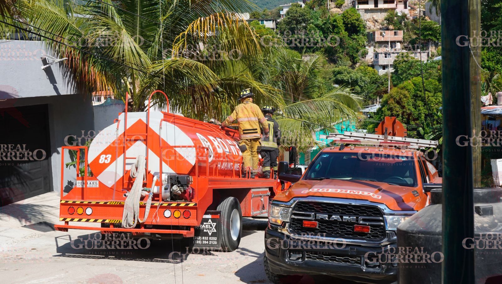 Intentan quemar panal de abejas y provocan incendio en Costa Azul