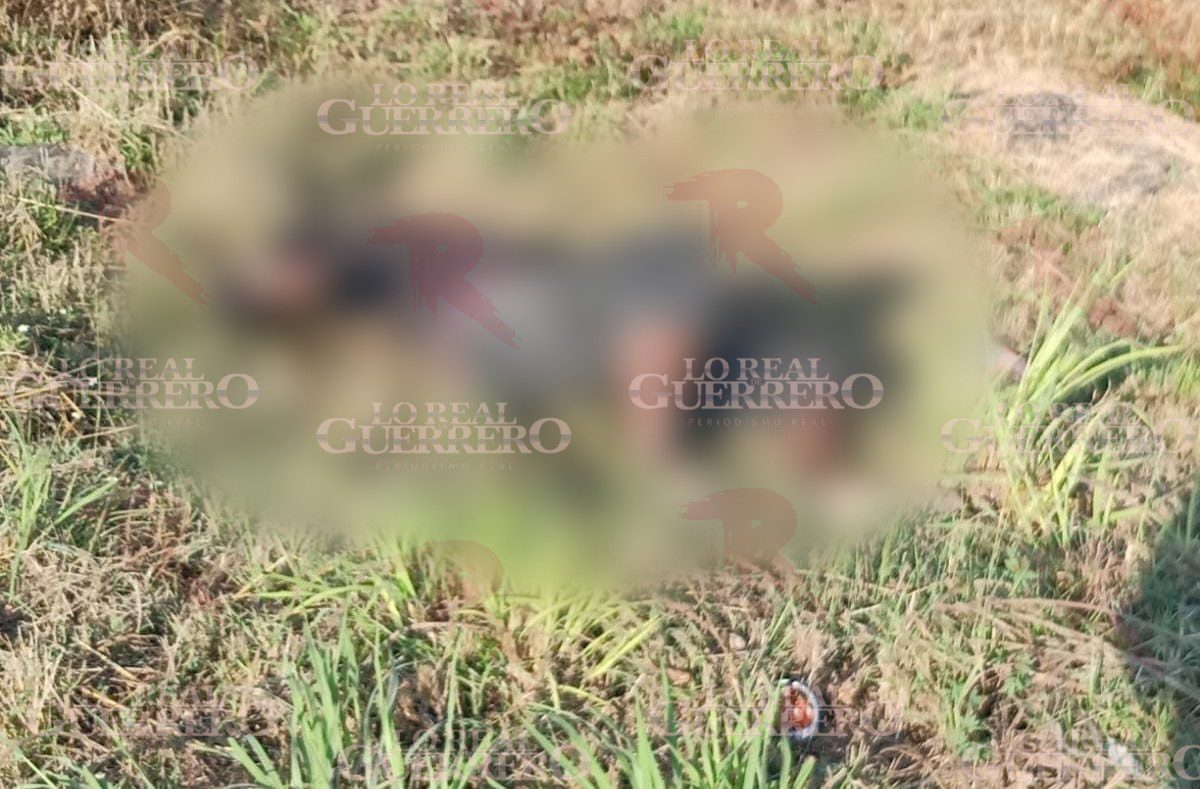 Hallan a un hombre en avanzado estado de descomposición a orilla de la Autopista del Sol