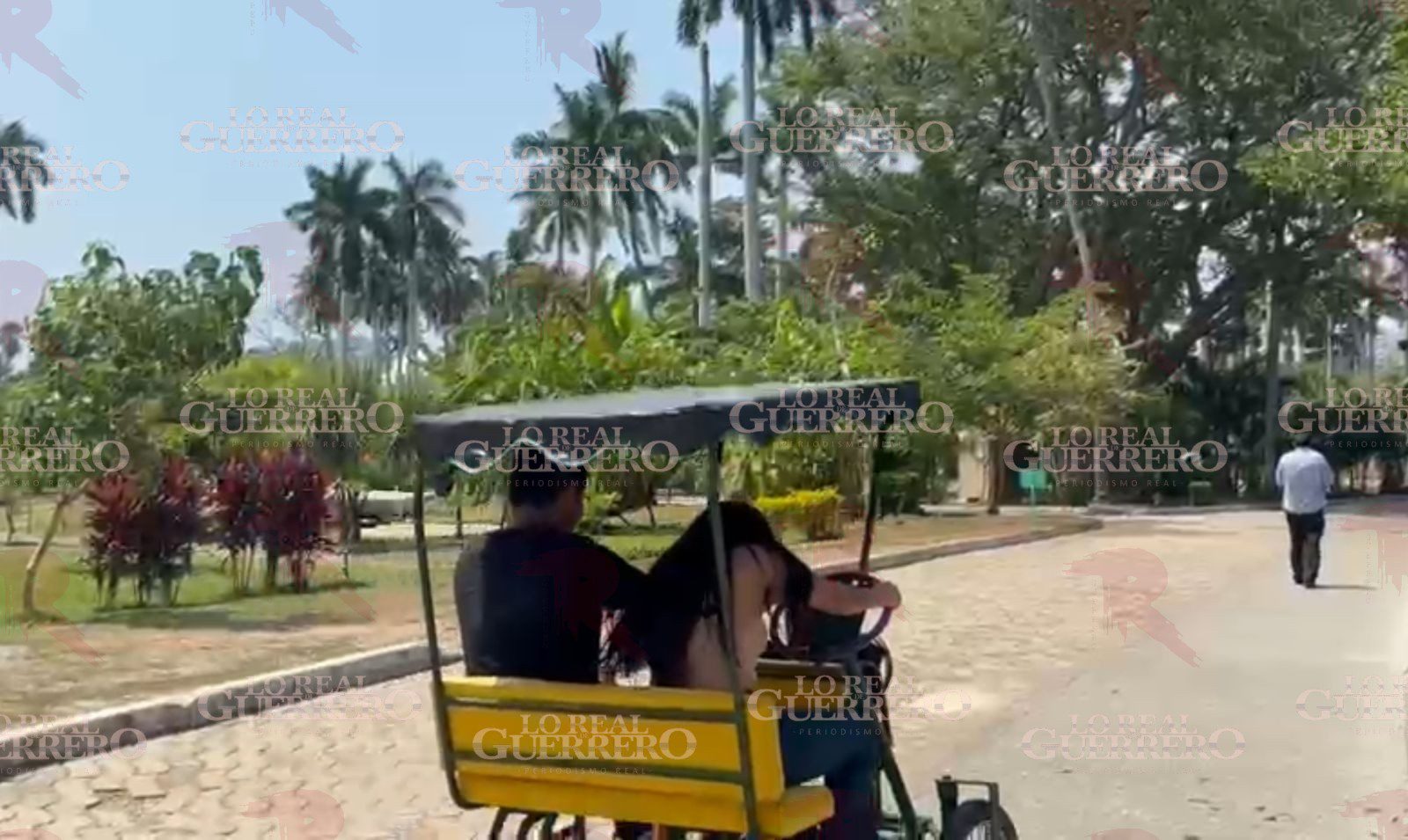 Realizan padrón de animales del Parque Papagayo