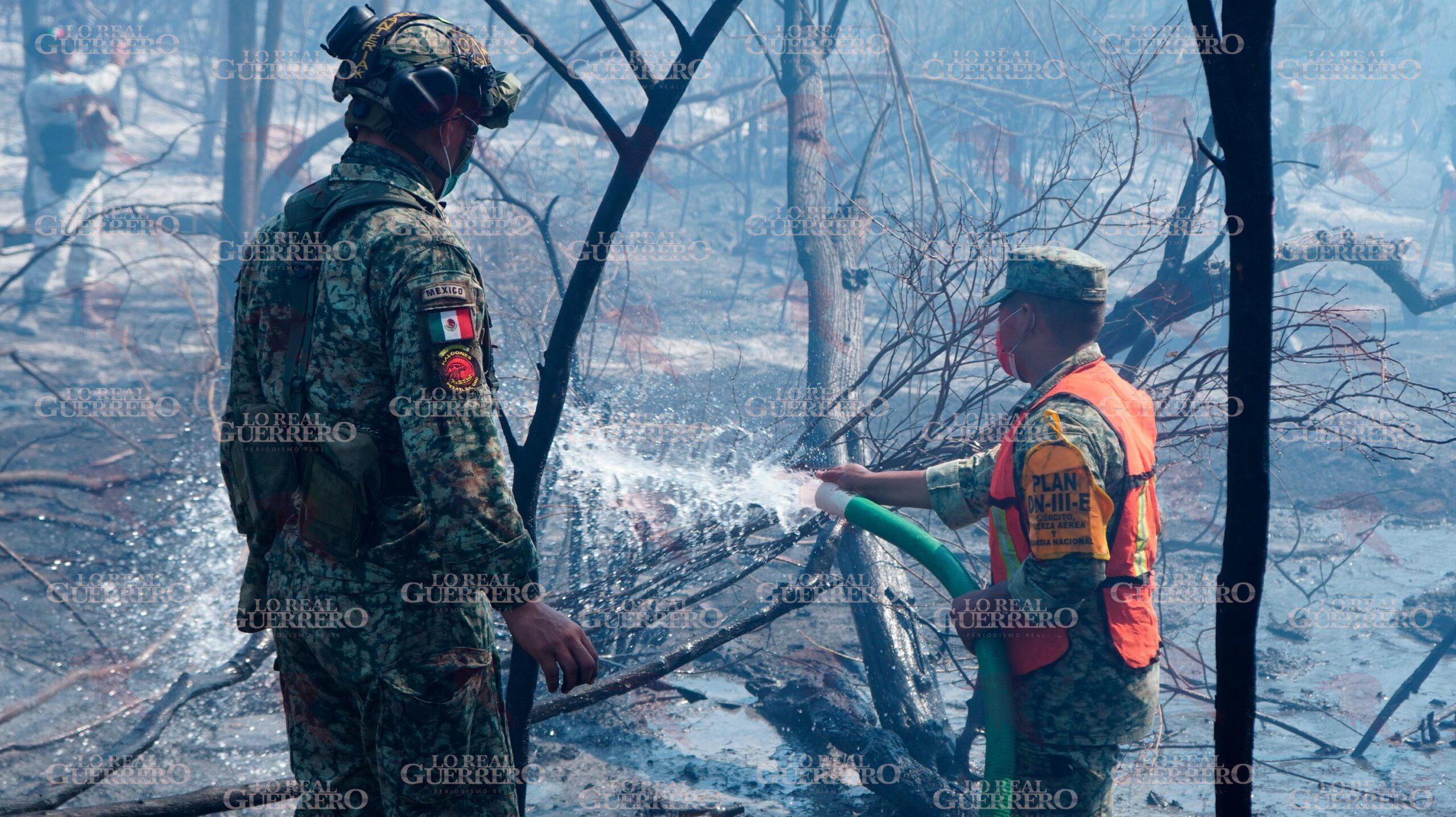 Incendio consume seis hectáreas de maleza y causa terror entre vecinos de la zona diamante de Acapulco