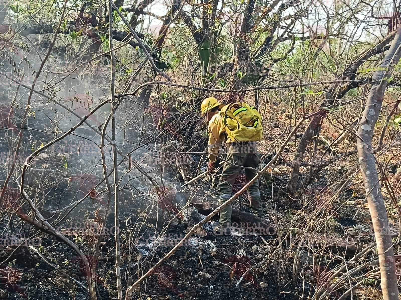 Reportan nueve incendios forestales activos