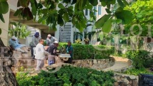 Colapsan cuatro terrazas y lesionan a trabajador de condominio