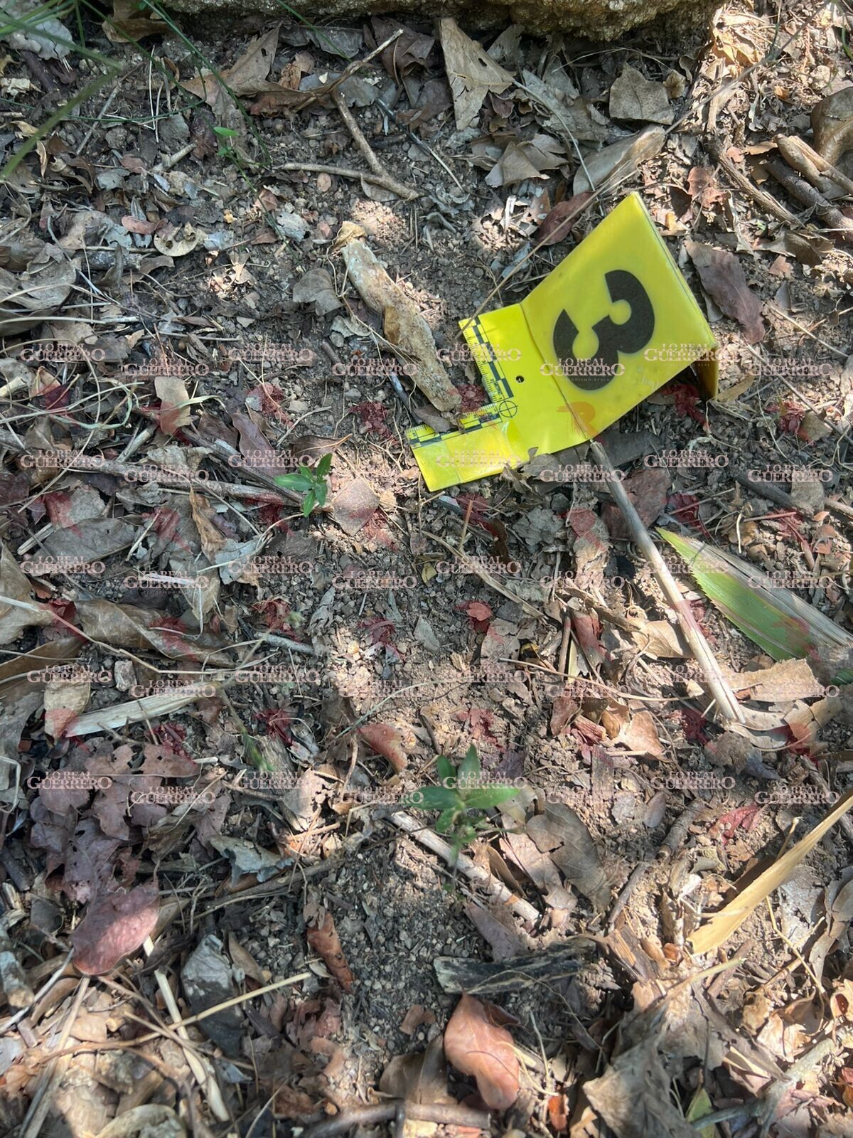 Nuevos restos óseos son localizados en el cerro de Vista Hermosa, en Acapulco