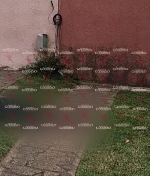 Ultiman a golpes a un hombre en el fraccionamiento Gaviotas