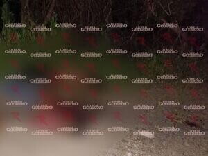 Torturan y ejecutan a balazos a dos mujeres y un hombre en el municipio de Pilcaya