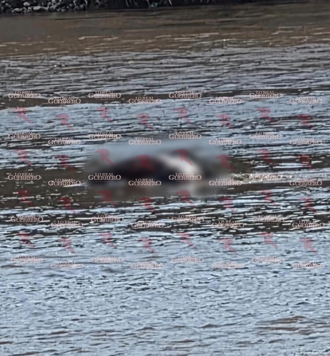 Localizan cuerpo de un hombre en avanzado estado de descomposición en el río Balsas, en Tepecoacuilco