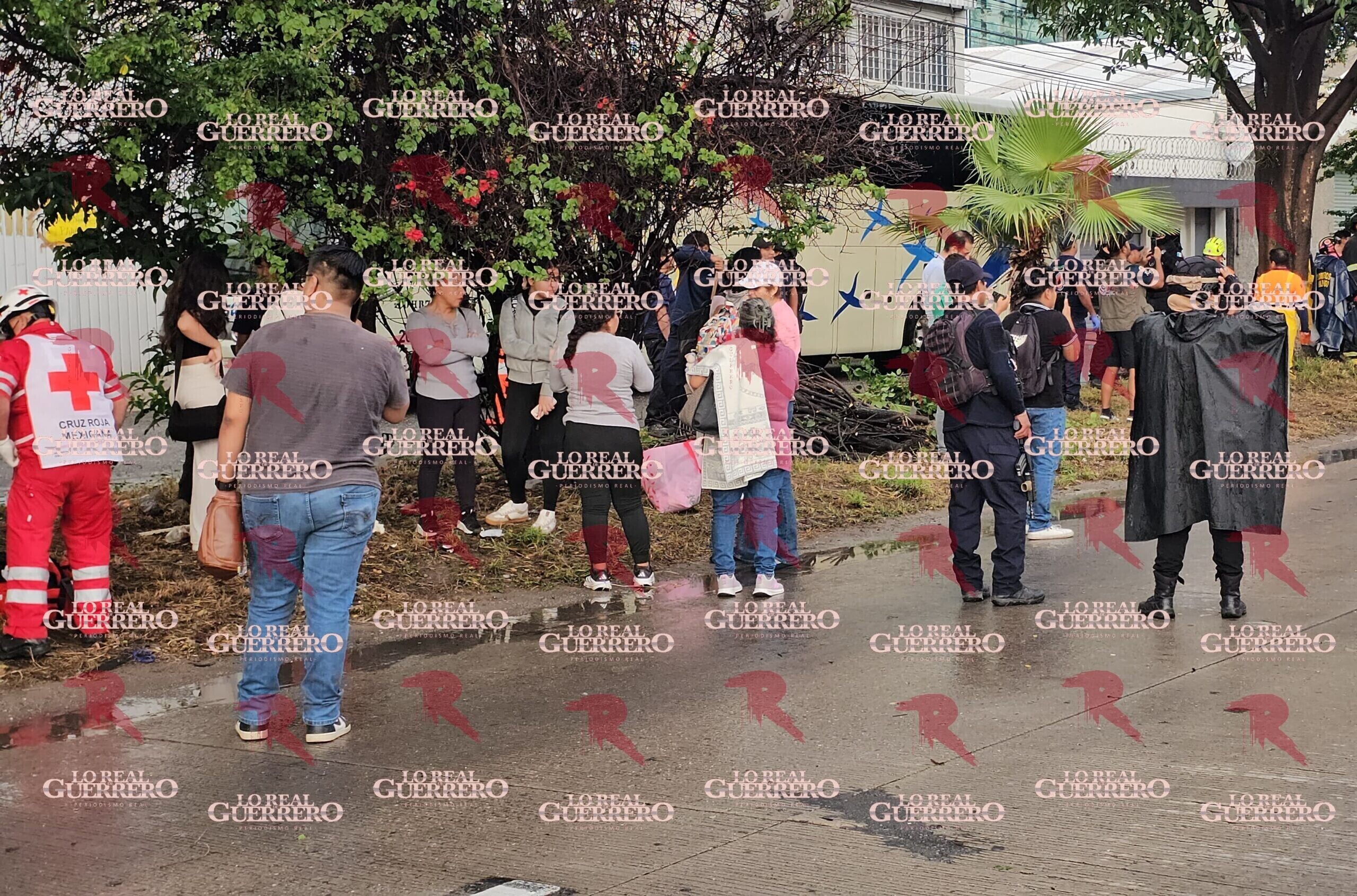 Cae árbol sobre autobús y deja tres pasajeros heridos en Chilpancingo