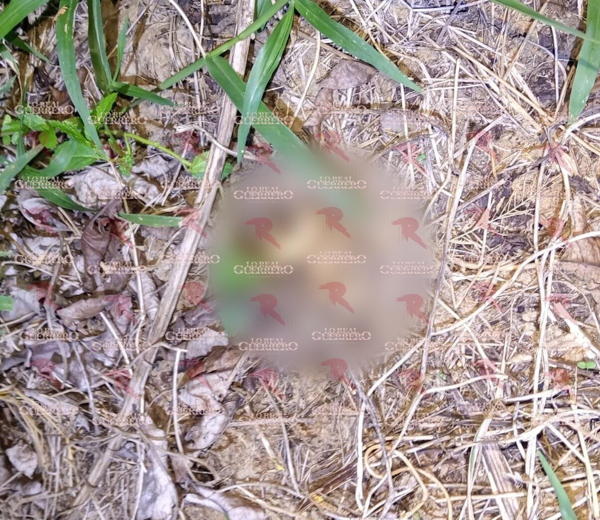 Hallan restos óseos de un hombre en la colonia Lomas del Aire, en Acapulco