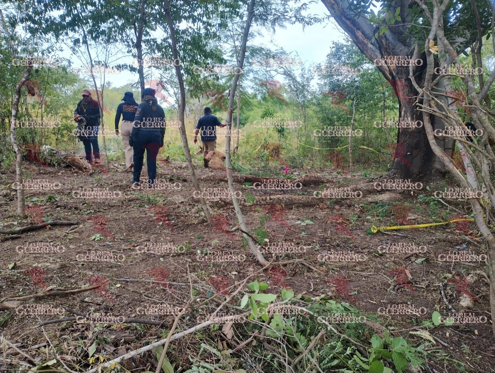Hallan otros 150 fragmentos óseos en presunto sitio de exterminio de Acapulco