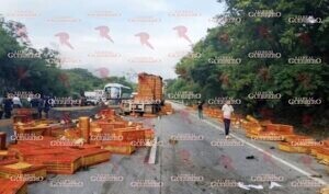 Rapiñan cajas de pollos tras choque de tráiler en la Autopista del Sol; GN retiene a automovilistas