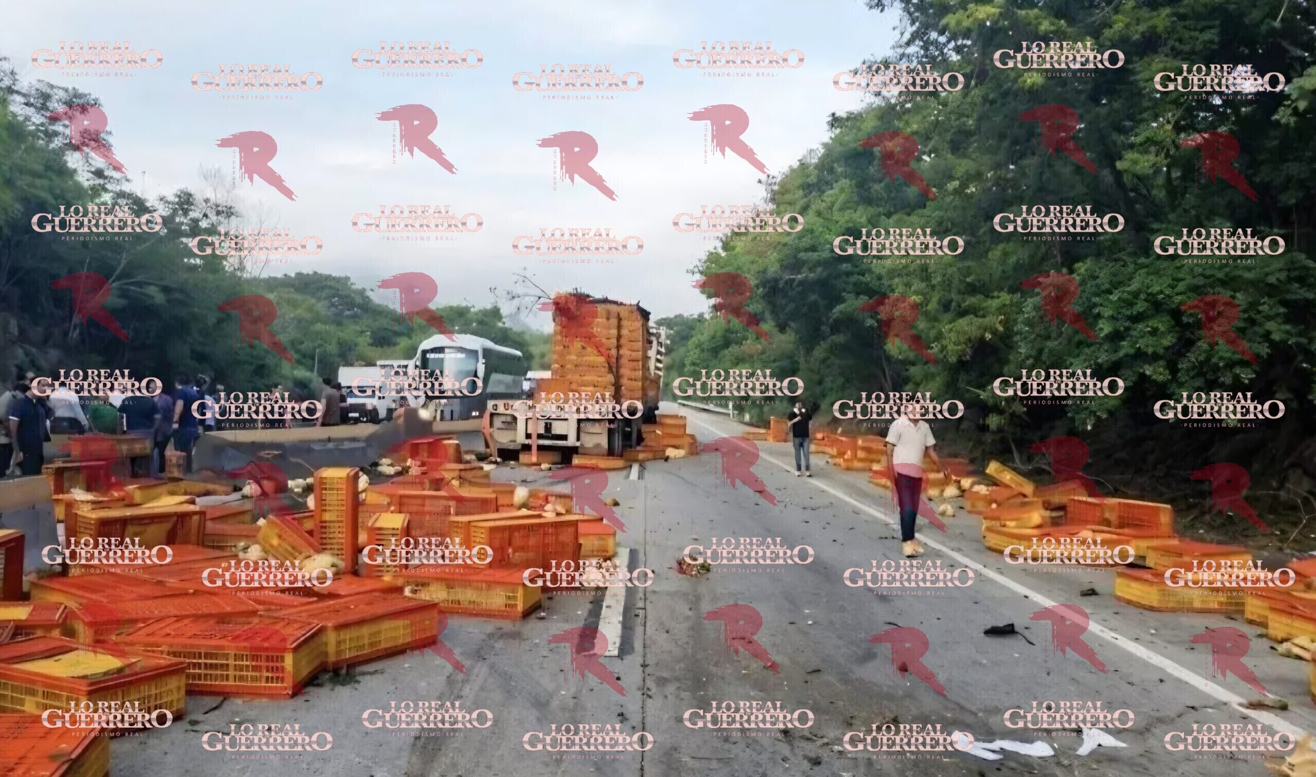 Rapiñan cajas de pollos tras choque de tráiler en la Autopista del Sol; GN retiene a automovilistas