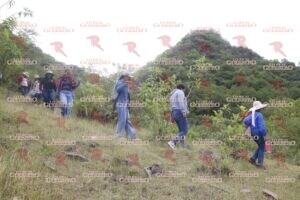 Hallan al menos 10 restos óseos humanos durante búsqueda en la Montaña de Guerrero