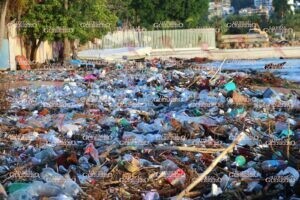 Recolectan 195 toneladas de basura en playas de Acapulco tras lluvias de Simón