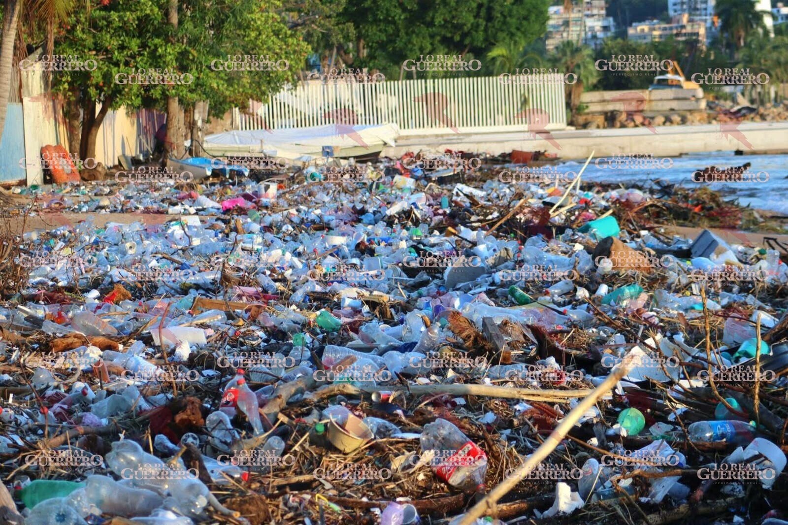 Recolectan 195 toneladas de basura en playas de Acapulco tras lluvias de Simón